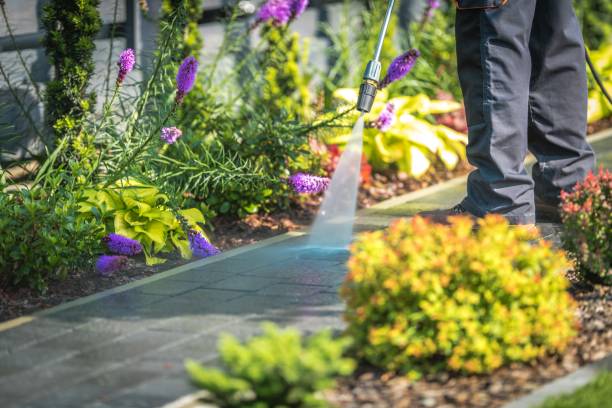 Best Post-Construction Pressure Washing  in Buttonwillow, CA