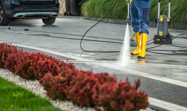 Best Sidewalk and Walkway Cleaning  in Buttonwillow, CA